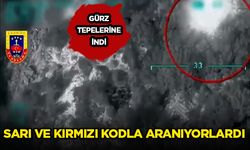 Kırmızı ve gri kategoride aranan 2 terörist etkisiz hale getirildi