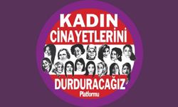 Platform açıkladı 33 kadın öldürüldü