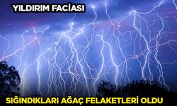 Sığındıkları ağaç felaketleri oldu