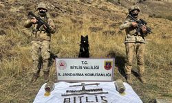 Bitlis'te teröristlere ait mühimmat ele geçirildi