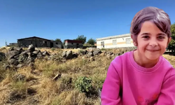 Almanya'dan Narin Güran raporu: Ev ve ahır önünde hareketlilik tespit edildi