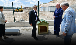Valilikten örnek adım: Patili dostlara doğayla iç içe yeni yuva