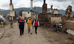 Bilecik’te yangından etkilenen köyler için konteyner kent kuruluyor