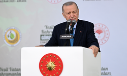 Cumhurbaşkanı Erdoğan’dan orman yangınları uyarısı: “Bunun adı ihanettir”