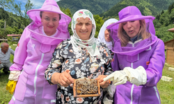 Artvin Valiliği destekli ApiTURizm çalışmaları başladı