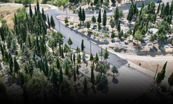 Valilik koordinesinde Şehitlik Yolu asfaltla yenilendi