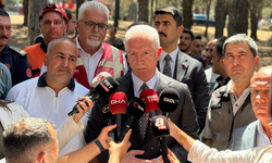 Vali Gül: Hacı Bektaş-ı Veli Kent Ormanı’ndaki yangın kontrol altına alındı
