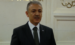 Vali Akkoyun: Anız ve orman yangınlarının sorumlusu insan ihmali