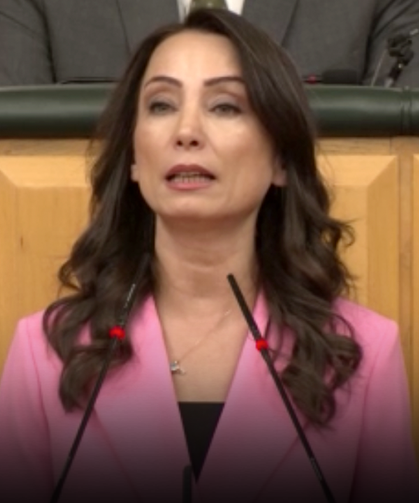 DEM Parti: Yeni sürecin çözüm adresi Meclis'tir