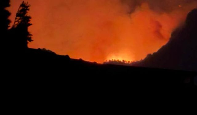 Denizli'de 2. gününe giren yangından yükselen alevler geceyi aydınlattı