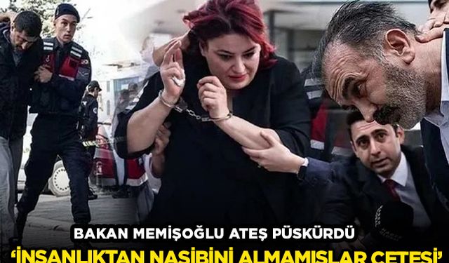 Bakan Memişoğlu 'Yenidoğan çetesine' ateş püskürdü