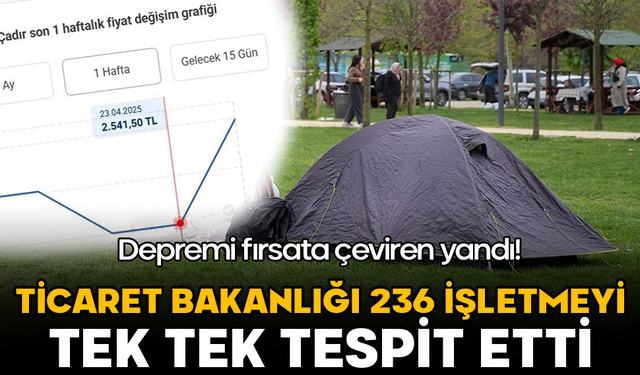 Depremi fırsata çeviren yandı! Ticaret Bakanlığı 236 işletmeyi tek tek tespit etti