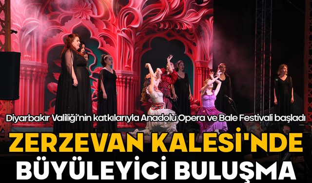 Zerzevan Kalesi’nde büyüleyici buluşma: Anadolu Opera ve Bale Festivali başladı