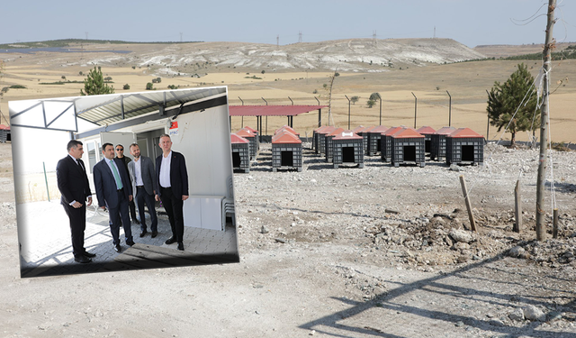 Sahipsiz sokak hayvanları için doğal yaşam alanı tamamlandı