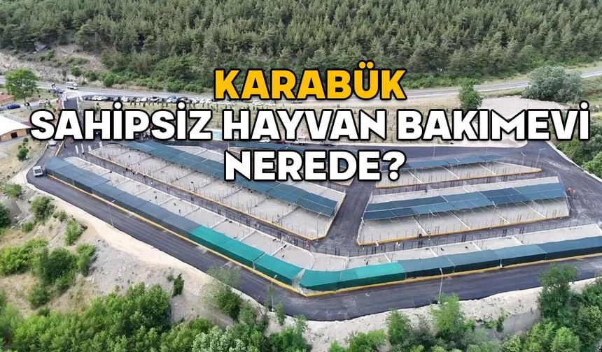 Karabük Sahipsiz Hayvan Bakımevi nerede? Karabük Sahipsiz Hayvan Bakımevi açıldı!