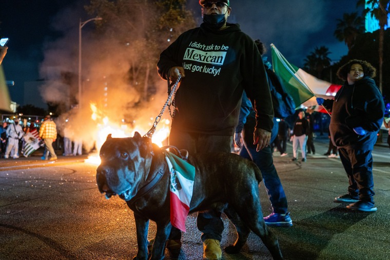 250609 La Ice Protest Mb 0855 0F